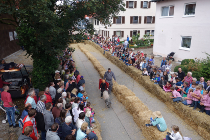Sichelhenket_Rossfeld2017_saurennen1.JPG